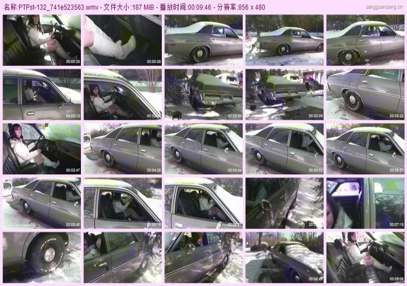 ptpst-132_741e523563